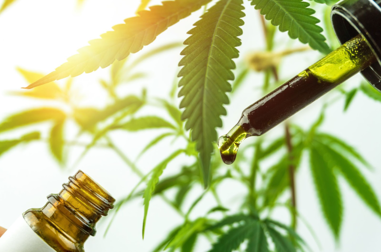 Will CBD Cause You to Fail a Drug Test?