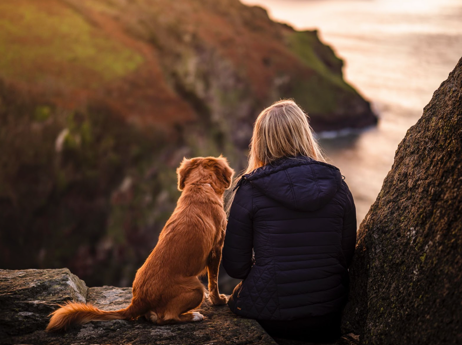 A woman and her dog looking into the vista.
