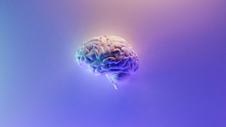 How CBD Affects Brain Function and Focus